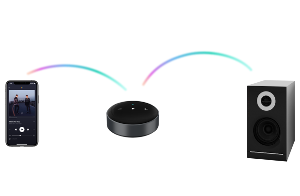 WiiM Mini -High-Res-Audio-Streamer, vorverstärker