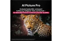 LG OLED48C58LA -4K OLED evo