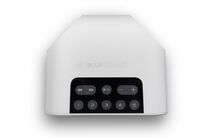 BLUESOUND PULSE Flex 2i - Streaming-Client Lautsprecher