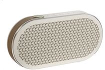 DALI Katch G2 portabler Bluetoothlautsprecher
