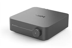 WiiM Amp Pro -Multiroom-Streaming-Verstärker (grau)