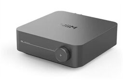 WiiM Amp Pro -Multiroom-Streaming-Verstärker (grau)