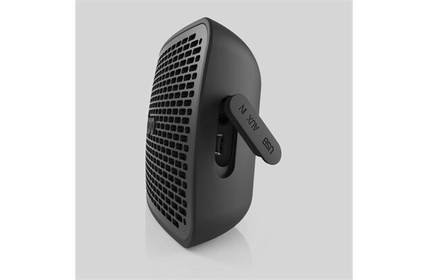 Audio Pro P5 -portable Bluetooth Speaker