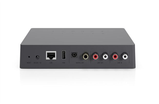 Audio Pro Link 2 -Streaming Client, Vorverstärker