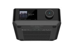 WiiM Amp Ultra -Multiroom-Streaming-Verstärker (space grau)