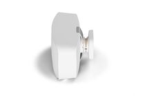 DALI Gardian -On Wall/Outdoorlautsprecher, Stückpreis