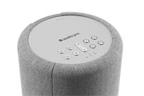 Audio Pro A10 MkII W -Streaming Client, powered by WiiM