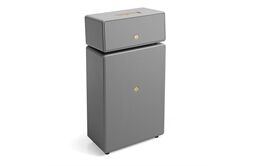 Audio Pro Drumfire II W -Multiroomlautsprecher, Set, WiiM (grau)