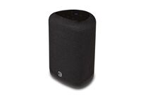 BLUESOUND PULSE Flex (P130) -Streaming-Client Lautsprecher