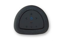 BLUESOUND PULSE Flex (P130) -Streaming-Client Lautsprecher