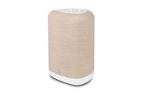 BLUESOUND PULSE Flex (P130) -Streaming-Client Lautsprecher