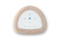 BLUESOUND PULSE Flex (P130) -Streaming-Client Lautsprecher