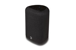 BLUESOUND PULSE Flex (P130) -Streaming-Client Lautsprecher