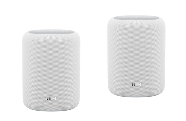 WiiM Sound Lite Twin -Streaming Client Lautsprecher