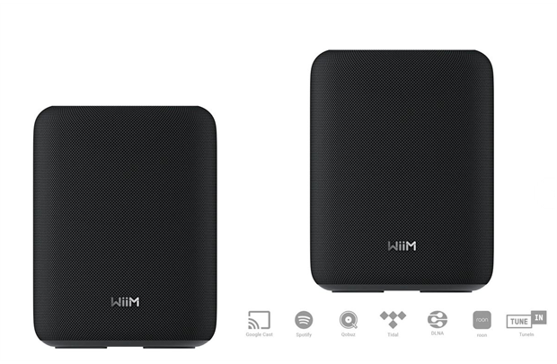WiiM Sound Lite Twin -Streaming Client Lautsprecher