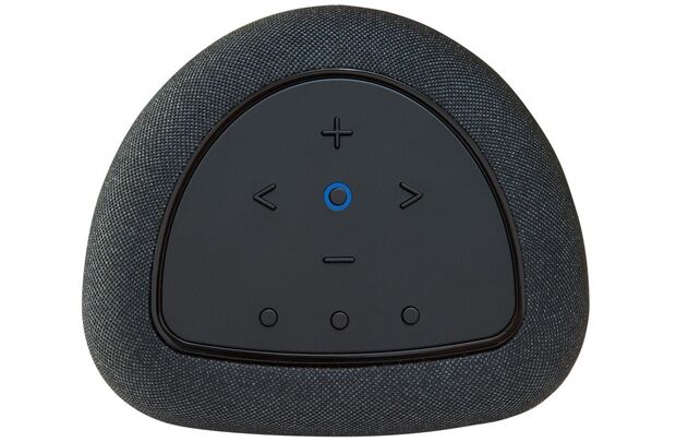 BLUESOUND PULSE Flex (P130) -Streaming-Client Lautsprecher