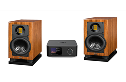 Elac BS 100 -Setpreis + 3m Kabel + WiiM Amp Ultra (Zebrano)