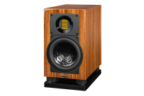 Elac BS 100 -Setpreis + 3m Kabel + WiiM Amp Ultra