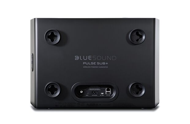 //hidden-audio.de/media/image/7a/04/26/PULSE-SUB-_Rear_Black.jpg