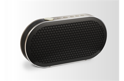 DALI Katch G2 portabler Bluetoothlautsprecher (schwarz)