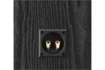 DALI Alteco C-1 Paarpreis Lautsprecher für Dolby Atmos
