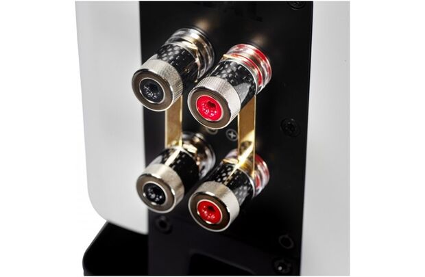 Elac Carina BS243.4 -Paarpreis, Regallautsprecher