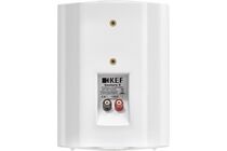 KEF Ventura 5 Stückpreis