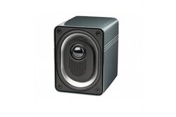Elac BS 302 B-WARE aus Ausstellung, EInzelstück (grau)