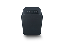 BLUESOUND PULSE Flex 2i - Streaming-Client Lautsprecher