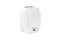 BLUESOUND PULSE Flex 2i + BP100 Battery -Streaming-Client