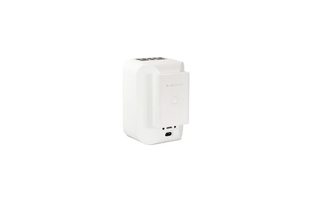 BLUESOUND PULSE Flex 2i + BP100 Battery -Streaming-Client